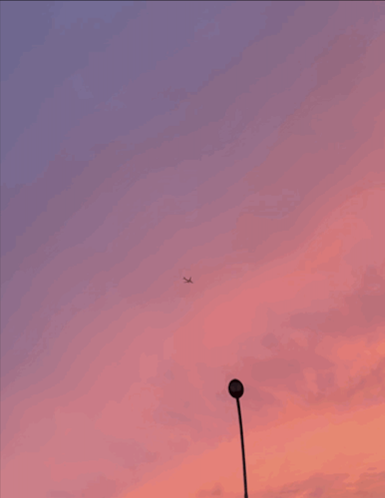 네이버 블로그 앱으로 만든 gif